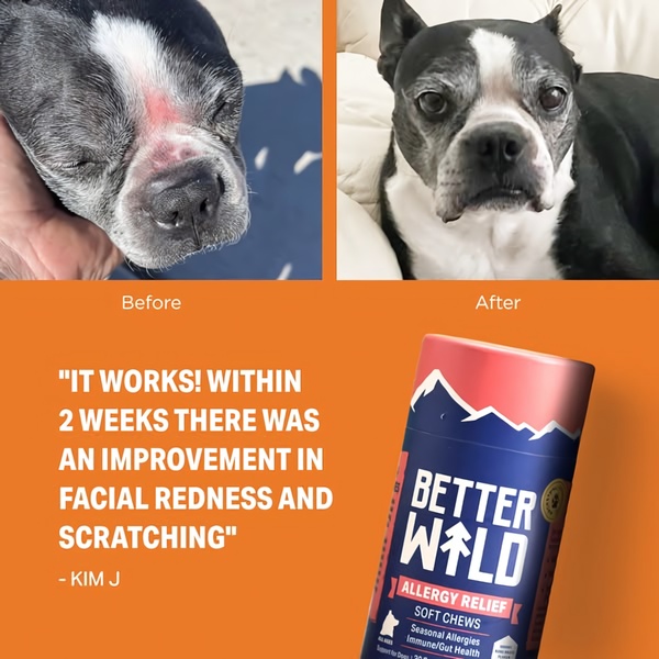 A square-format static ad showing a visible improvement in a pet's skin condition after using allergy relief chews, combined with a direct customer testimonial.
